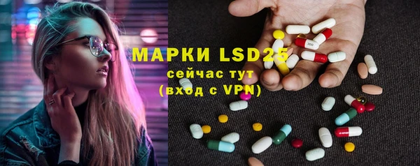 ПСИЛОЦИБИНОВЫЕ ГРИБЫ Белоозёрский