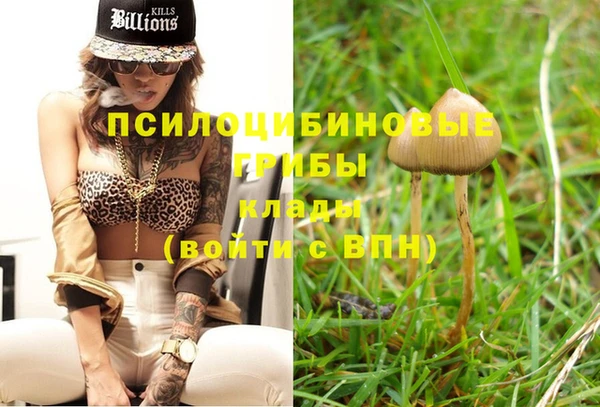 крисы Богданович